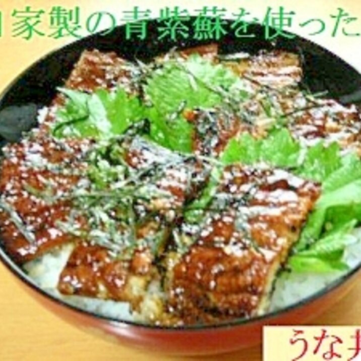 青紫蘇とうなぎの丼 レシピ 作り方 By ココアケア 楽天レシピ 青紫蘇とうなぎの丼 レシピ 作り方 By ココアケア 楽天レシピ